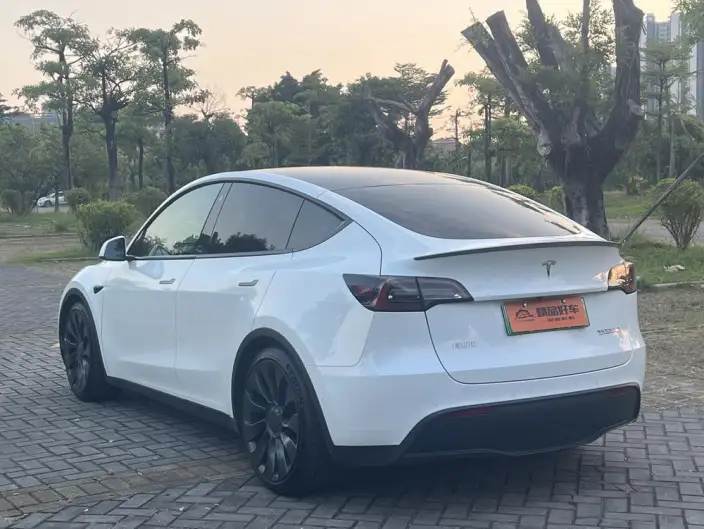 Model Y 2022 Model Performance High performance All-wheel drive version