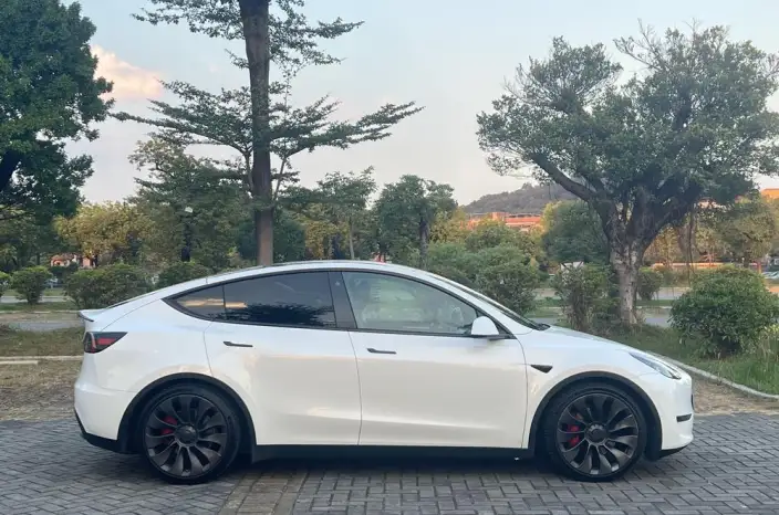Model Y 2022 Model Performance High performance All-wheel drive version – фото 7