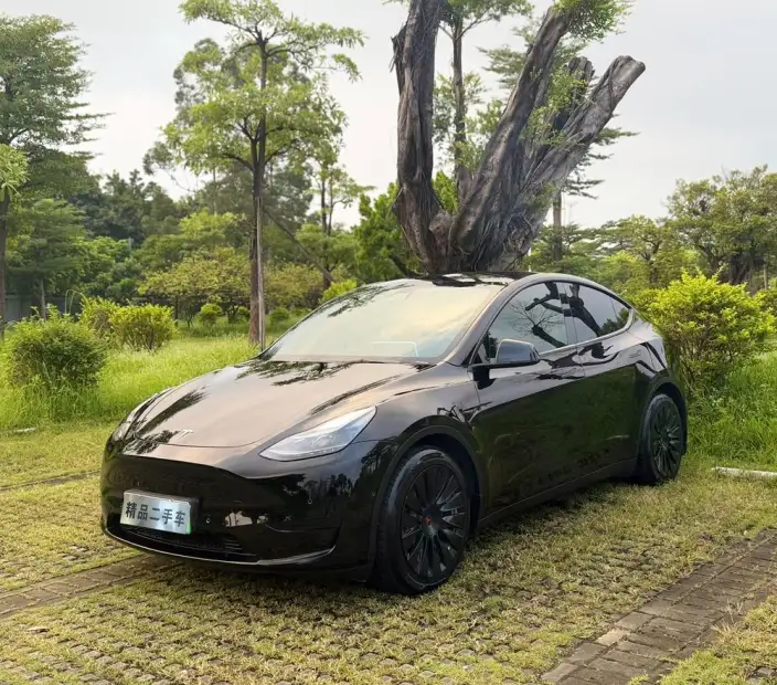 Model Y 2022 Model Facelift Rear-wheel drive version