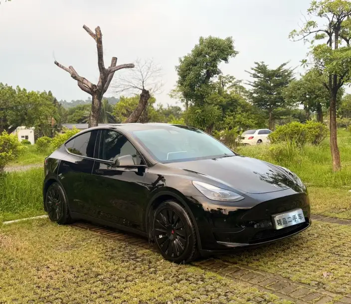 Model Y 2022 Model Facelift Rear-wheel drive version