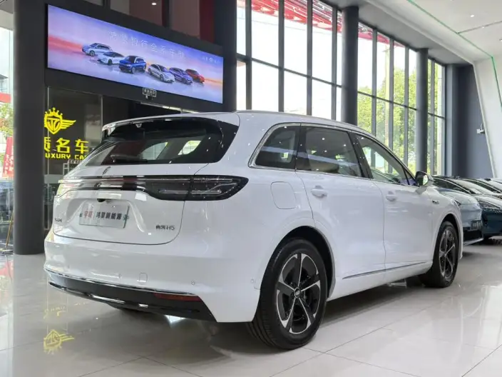 Sangyuan H5 2025 Model Extended Range Max – фото 7