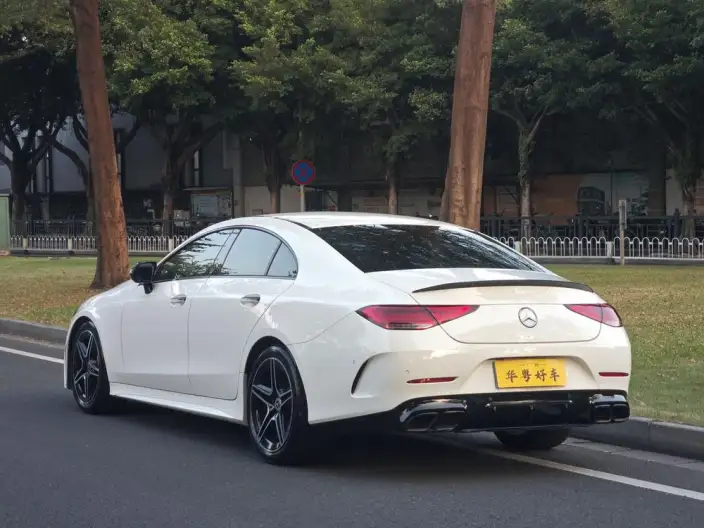 Mercedes-Benz CLS 2022 Model CLS 300 Luxury Model – фото 3
