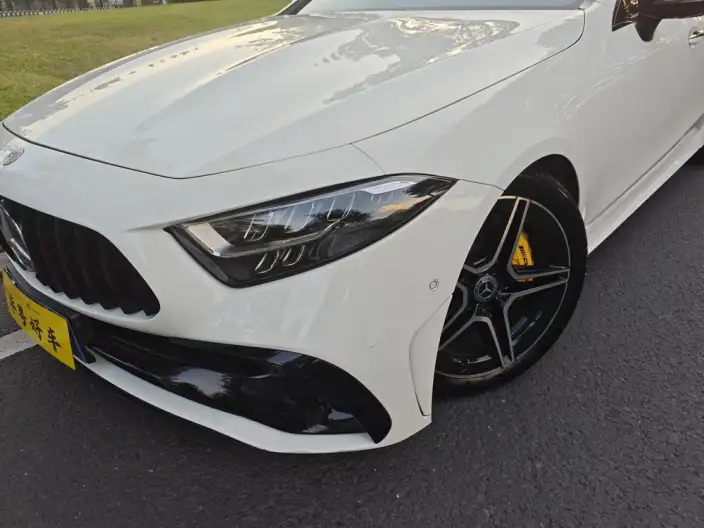 Mercedes-Benz CLS 2022 Model CLS 300 Luxury Model – фото 6