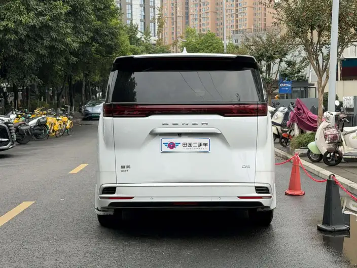 DENZA D9 DM 2022 Model 945 Luxury Model – фото 5