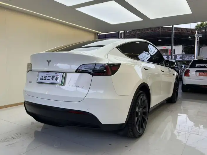 Model Y 2022 Model Rear-wheel drive version – фото 6