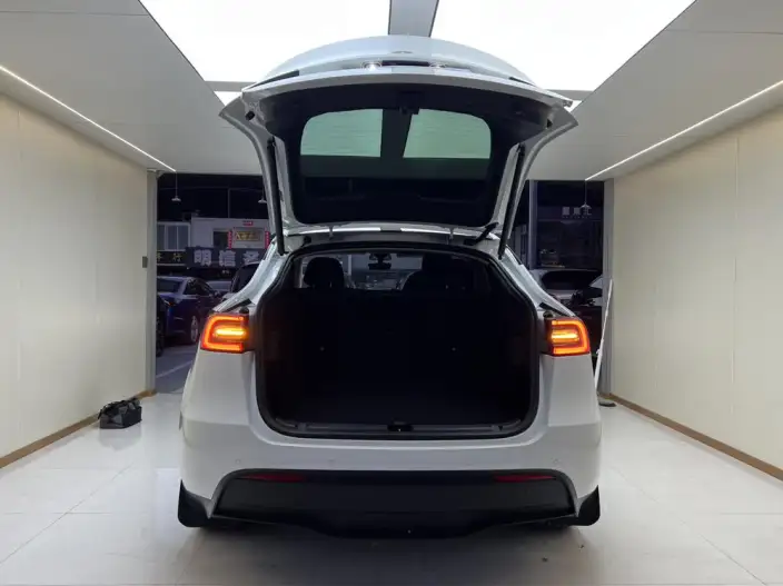 Model Y 2022 Model Rear-wheel drive version – фото 8
