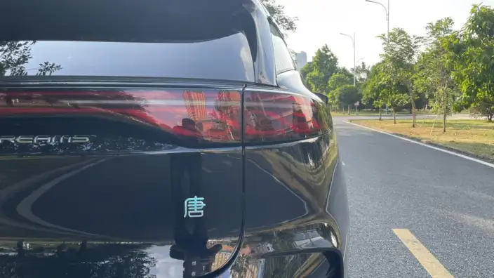 BYD Tang DM 2024 Model Honor Edition DM-i 112KM Zunrong Model – фото 8