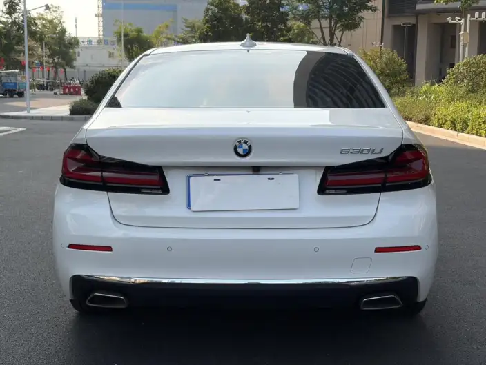 BMW 5 Series 2023 Model 530Li Leading Model Luxury Set – фото 6