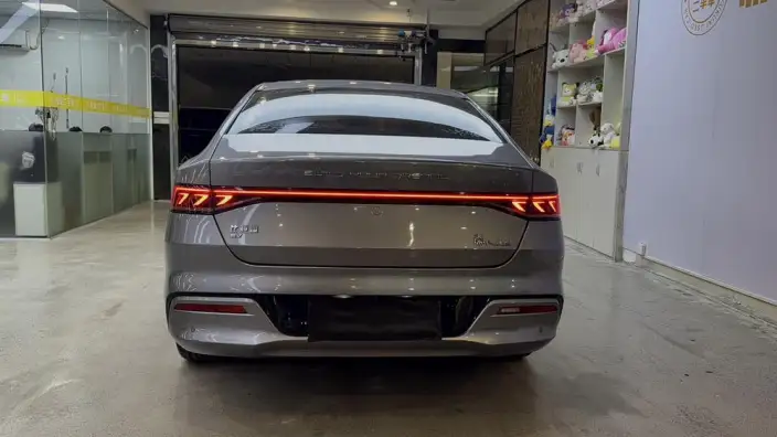 Qin Plus EV 2021 Model 500KM Noble Model – фото 6