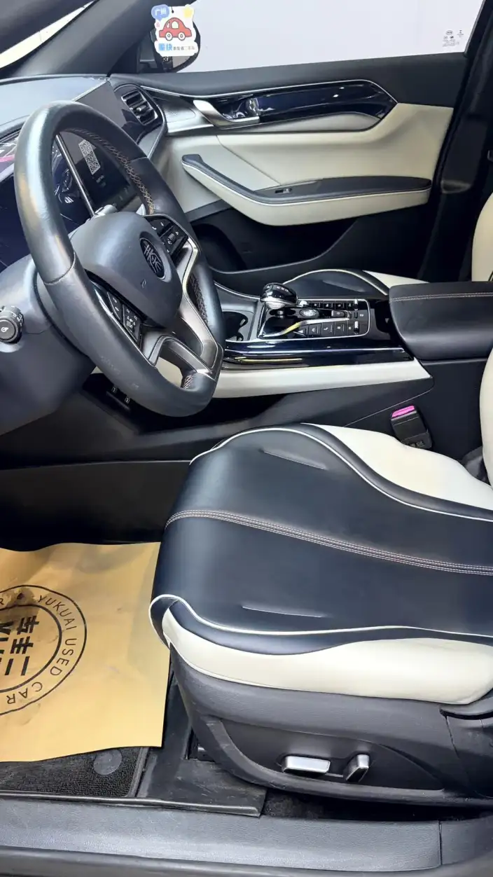 Qin Plus EV 2021 Model 500KM Noble Model – фото 8