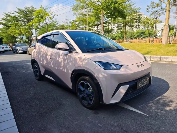 BYD Seagull 2024 Model Honor Edition 405KM Feixiang Edition