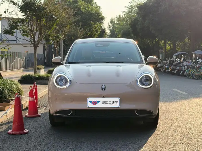 ORA Good Cat 2023 Model 401km Standard Battery Life Luxury Model Lithium Iron Phosphate