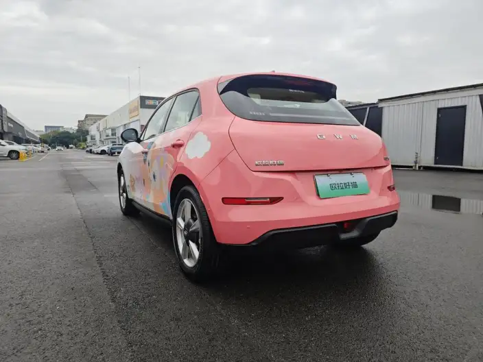 ORA Good Cat GT 2025 Model 430km Zunrong Model 135kW