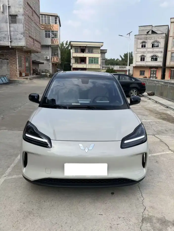 WULING Bingguo PLUS 2024 Model 401km Ultimate Edition