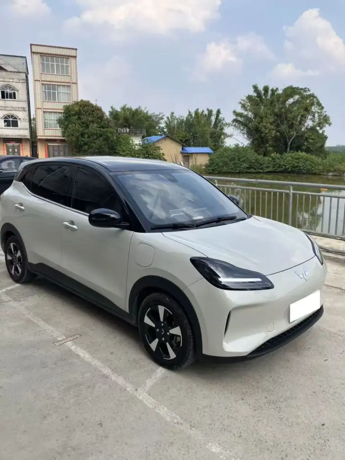 WULING Bingguo PLUS 2024 Model 401km Ultimate Edition