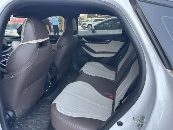 BYD Qin PLUS DM 2024 Model Honor Edition DM-i 55KM Leading Model – фото 9