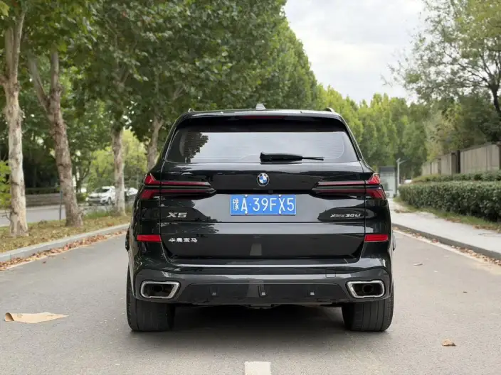 BMW X5 2023 Model xDrive30Li M Sports Set – фото 5