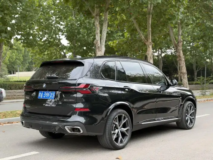 BMW X5 2023 Model xDrive30Li M Sports Set – фото 6