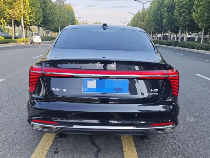 Hongqi H5 2025 Model 2.0T Automatic Flag Enjoy Edition – фото 5
