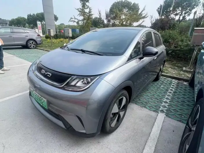 BYD Dolphin 2023 Model Free Edition