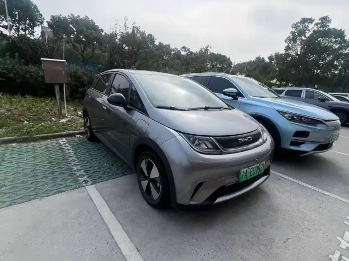 BYD Dolphin 2023 Model Free Edition