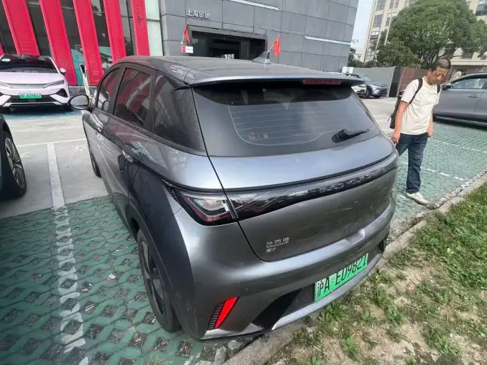 BYD Dolphin 2023 Model Free Edition