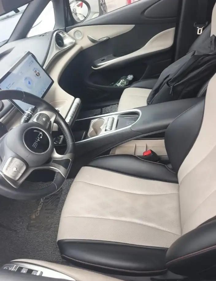 BYD Dolphin 2023 Model Free Edition