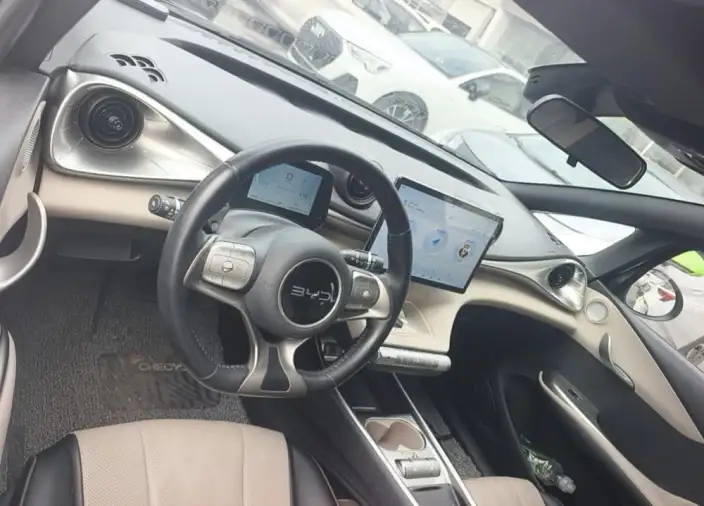 BYD Dolphin 2023 Model Free Edition – фото 5