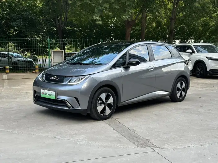 BYD Dolphin 2023 Model Fashion Edition