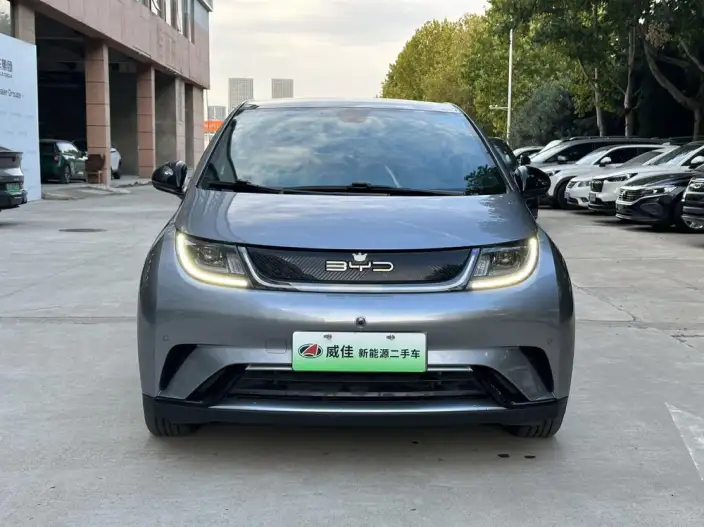 BYD Dolphin 2023 Model Fashion Edition