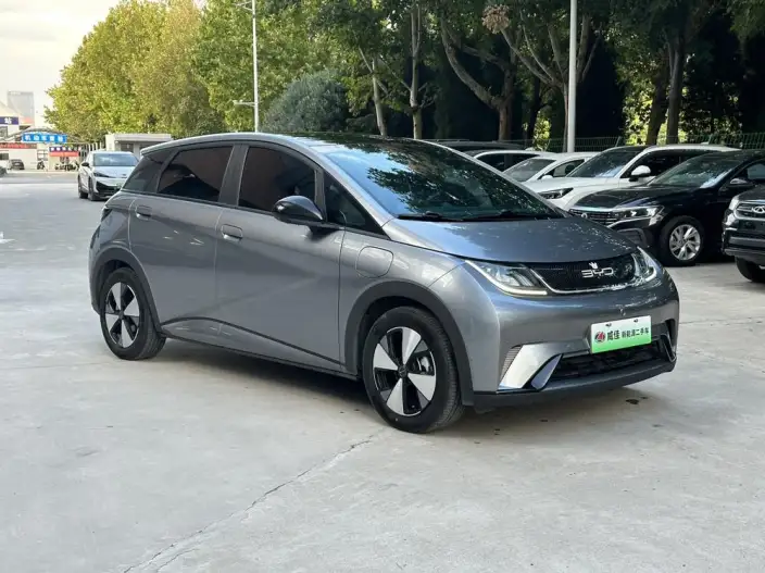 BYD Dolphin 2023 Model Fashion Edition