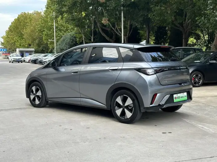 BYD Dolphin 2023 Model Fashion Edition