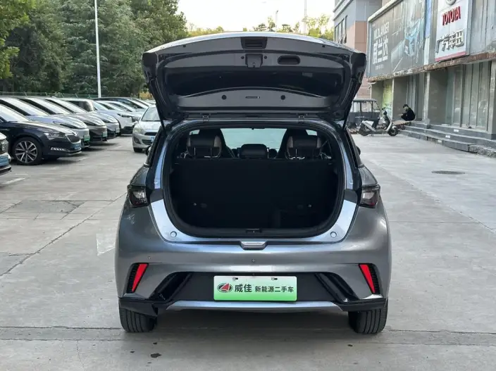 BYD Dolphin 2023 Model Fashion Edition – фото 8