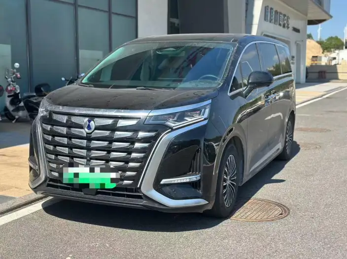 DENZA D9 DM 2024 Model 980 4WD Flagship Model