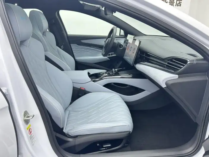 BYD Seal 2023 Model 550KM Champion Edition Elite Model – фото 10