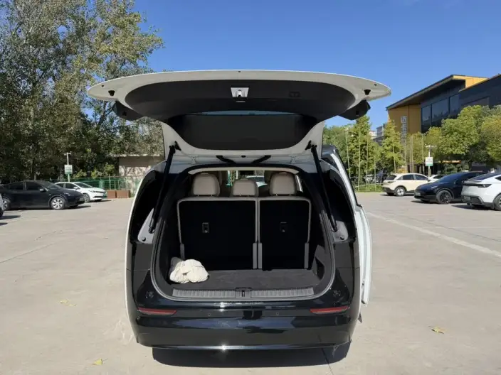 Li Auto MEGA 2025 Model Home Family Special Edition – фото 10
