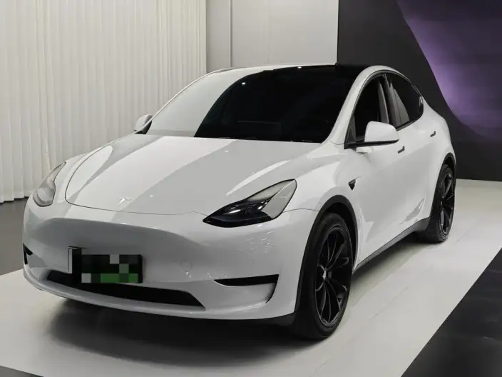 Model Y 2022 Model Facelift Rear-wheel drive version