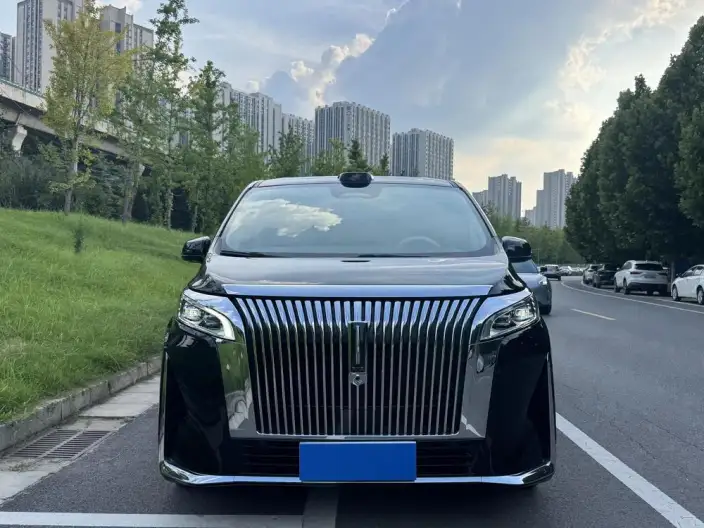 Wey Gaoshan P HEV 2025 Model 4WD Wey Gaoshan 8