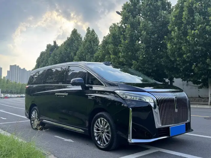 Wey Gaoshan P HEV 2025 Model 4WD Wey Gaoshan 8
