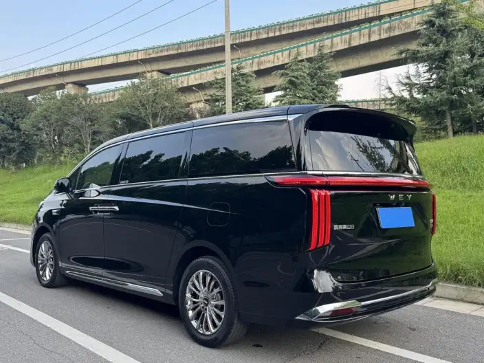 Wey Gaoshan P HEV 2025 Model 4WD Wey Gaoshan 8 – фото 5