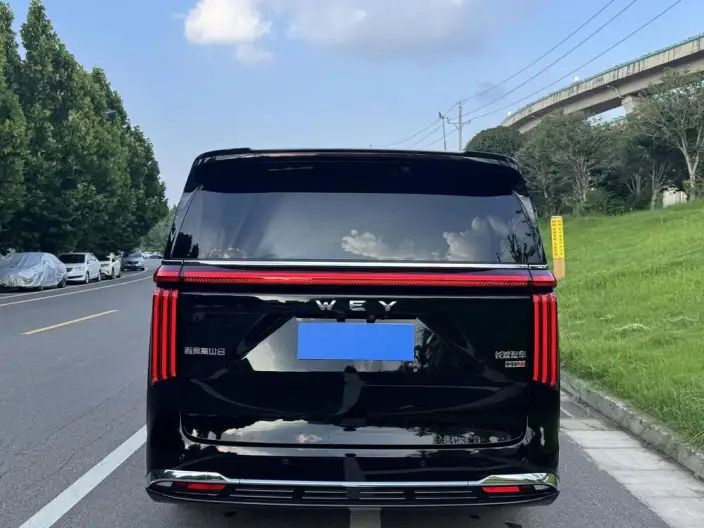 Wey Gaoshan P HEV 2025 Model 4WD Wey Gaoshan 8 – фото 6