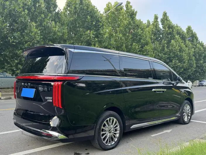 Wey Gaoshan P HEV 2025 Model 4WD Wey Gaoshan 8 – фото 7
