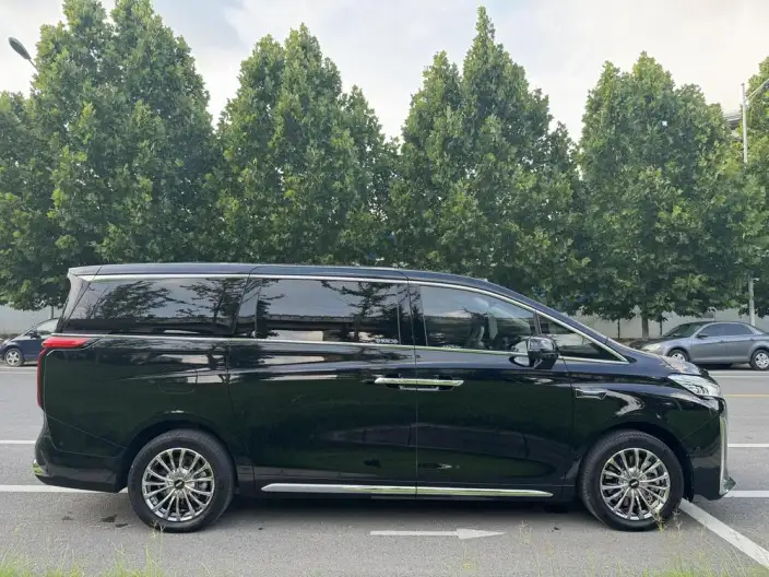 Wey Gaoshan P HEV 2025 Model 4WD Wey Gaoshan 8 – фото 8