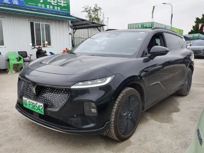 VOYAH Zhiyin 2024 Model 4WD Global Edition