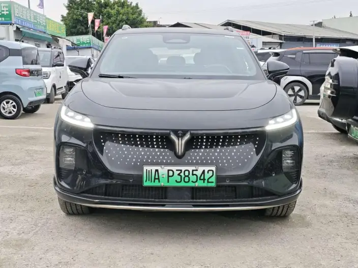 VOYAH Zhiyin 2024 Model 4WD Global Edition
