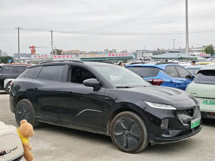 VOYAH Zhiyin 2024 Model 4WD Global Edition