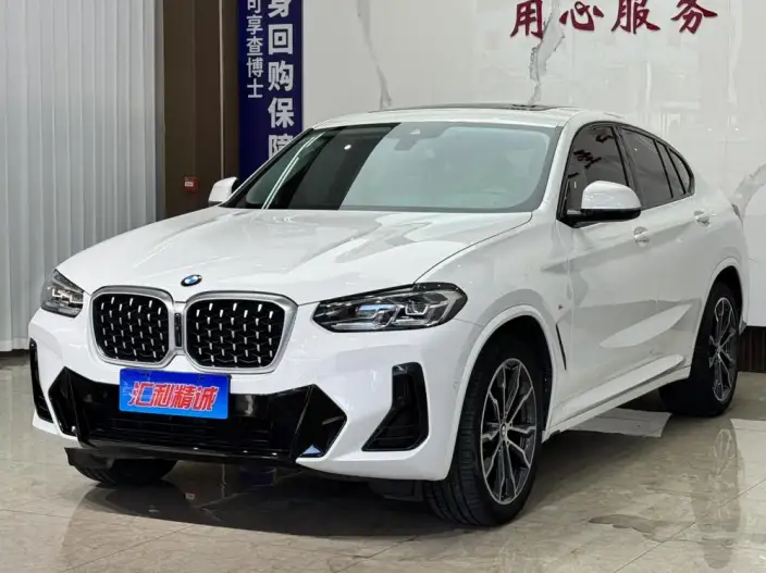 BMW X4 2022 Model xDrive 30i M Sports Set – фото 10