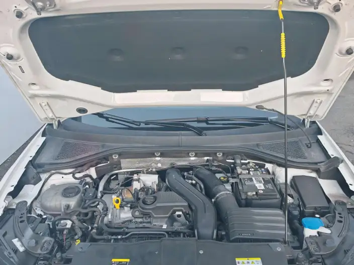 Volkswagen T-Roc 2023 Model 300TSI DSG Chenguang Edition