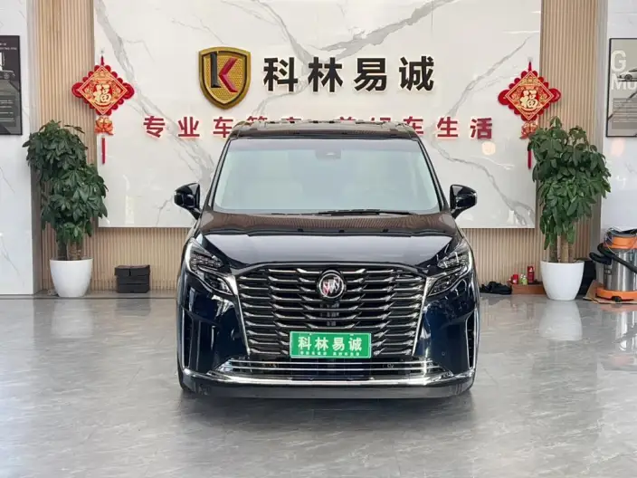 Buick GL8 2023 Model ES Luzun 2.0T Exclusive Model – фото 2