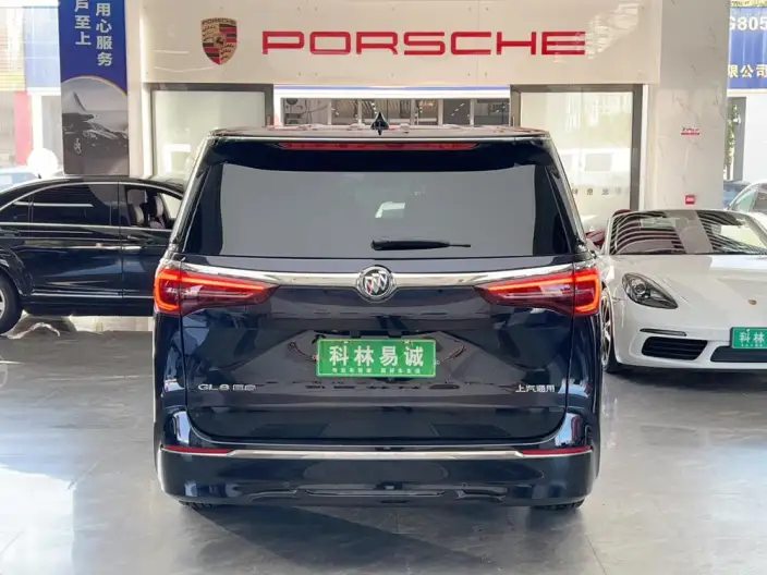Buick GL8 2023 Model ES Luzun 2.0T Exclusive Model – фото 6
